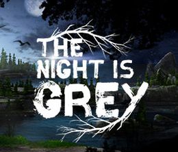 image-https://media.senscritique.com/media/000019355906/0/The_Night_is_Grey.jpg