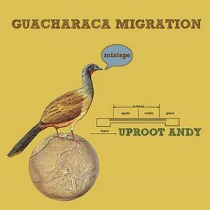 Guacharaca Migration