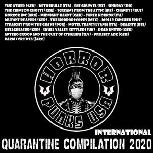 Quarantine Compilation 2020 International