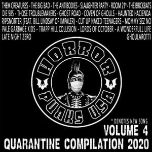 Quarantine Compilation 2020, Volume 4