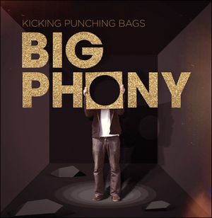 Kicking Punching Bags