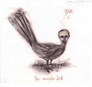 The Invisible Bird
