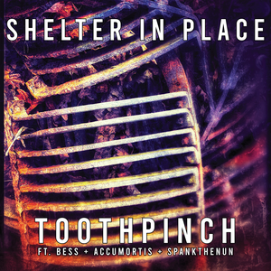 Shelter in Place (Single)