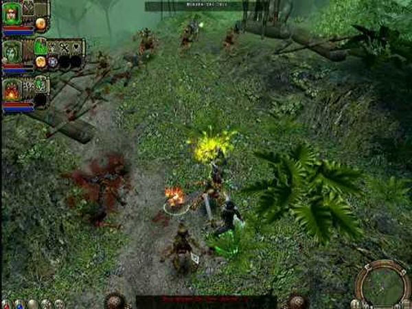 Dungeon Siege II