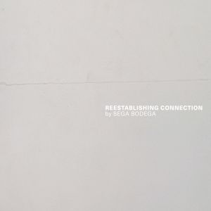 Reestablishing Connection (EP)