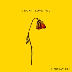 I Don’t Love You (Single)