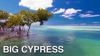 Big Cypress National Preserve