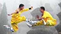 Why Martial Arts Are Suddenly Being Exposed as Fake