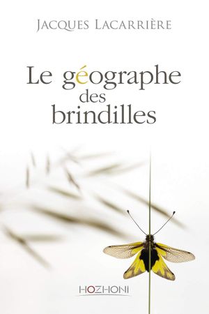 Le Géographe des brindilles