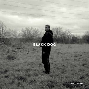 Black Dog (Single)