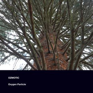 Oxygen Particle (Single)