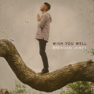Wish You Well (Single)