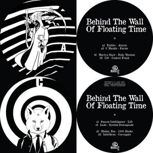 Behind the Wall of Floating Time