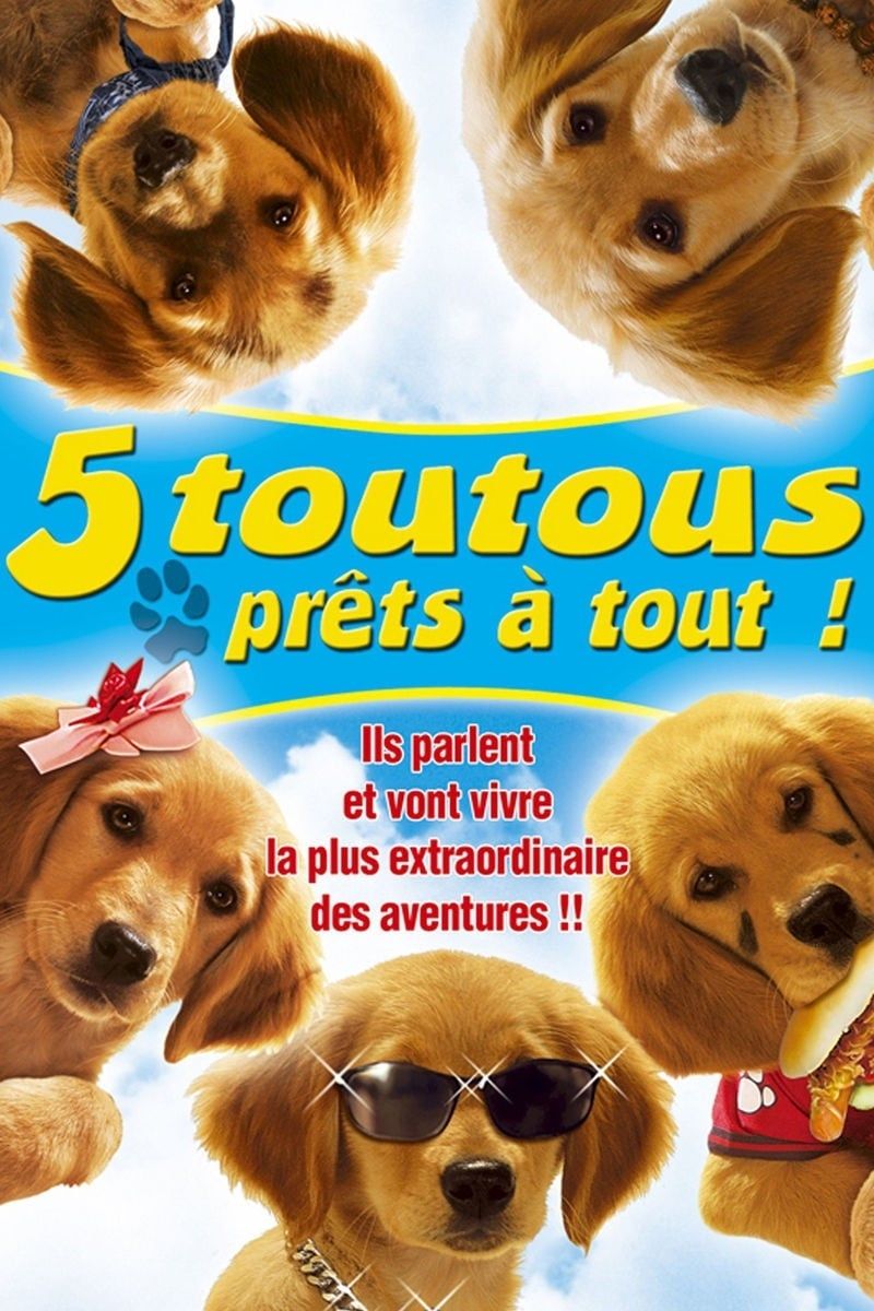 5 Toutous Prêts A Tout 5 Toutous prêts à tout - Film (2006) - SensCritique
