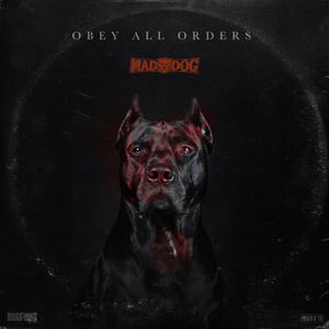 Obey All Orders (Single)