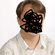Avatar Pierre_Rimb Avatar Pierre_Rimb