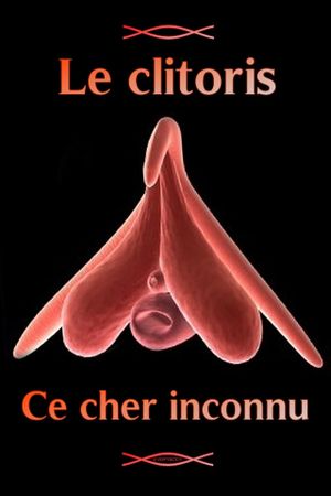 Le clitoris, ce cher inconnu