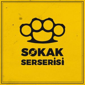 Sokak Serserisi