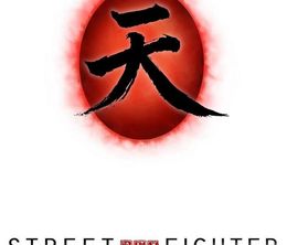 image-https://media.senscritique.com/media/000019387397/0/street_fighter_assassin_s_fist.jpg