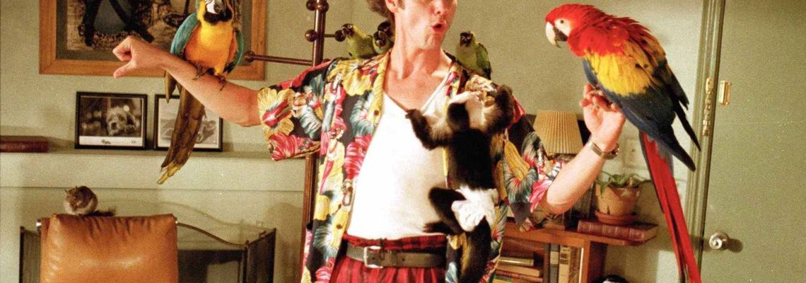 Cover Ace Ventura, détective pour chiens et chats