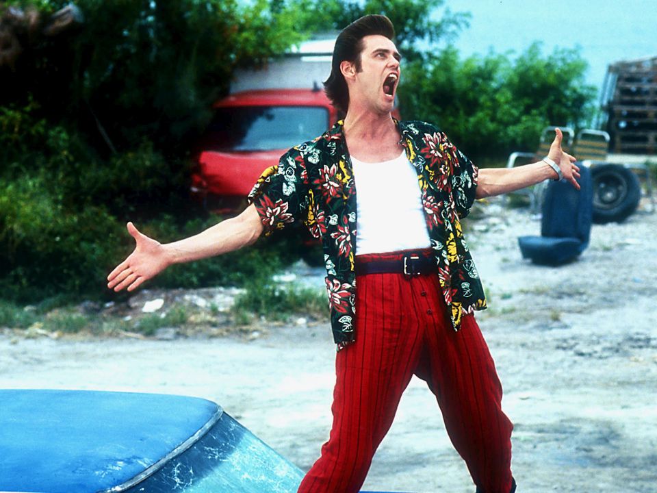 Ace Ventura Détective Chiens Et Chats Affiches, posters et images de Ace Ventura, détective pour... (1994)