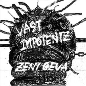 Vast Impotentz