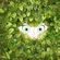 Avatar Cocolicot Avatar Cocolicot