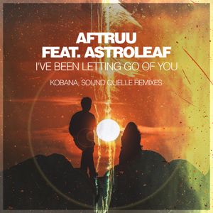 I've Been Letting Go Of You (Remixes) (Single)