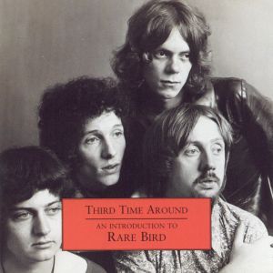 Third Time Around - An Introduction To Rare Bird