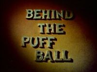 Behind the Puffball
