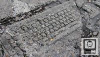 Why is a Fossilised Keyboard in this Pavement?