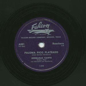 Paloma pico plateado