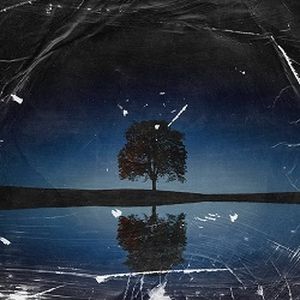 Bi Setare (Single)