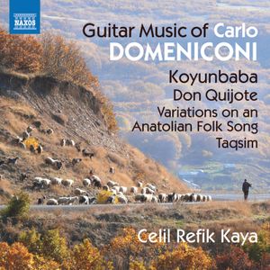 Guitar Music of Carlo Domeniconi