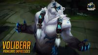 THE NEW VOLIBEAR