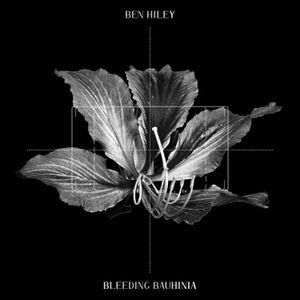 Bleeding Bauhinia (Single)