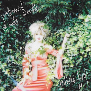 Parliament Of Owls Acoustic (Single)
