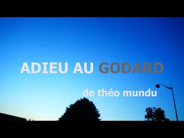 Adieu au Godard