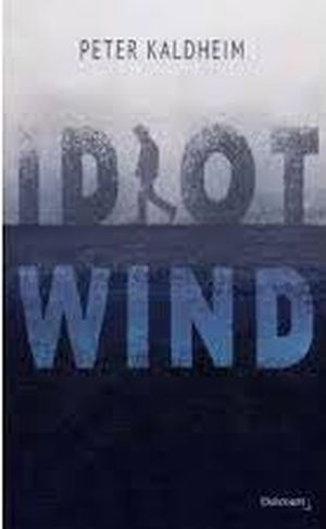 Idiot Wind