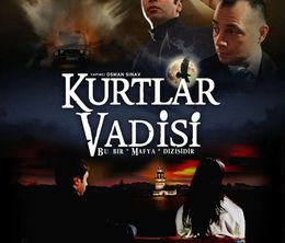 image-https://media.senscritique.com/media/000019404439/0/valley_of_the_wolves.jpg