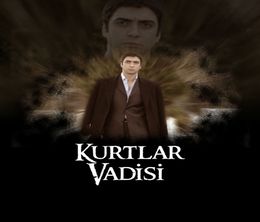 image-https://media.senscritique.com/media/000019404440/0/valley_of_the_wolves.jpg
