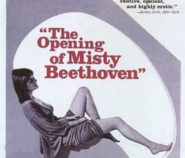 image-https://media.senscritique.com/media/000019405686/0/l_initiation_de_misty_beethoven.jpg