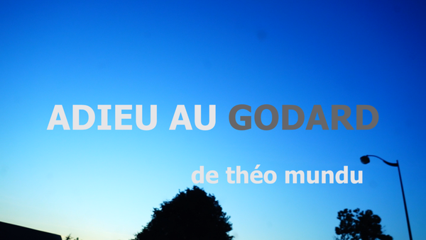 Adieu au Godard