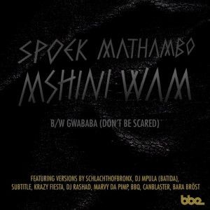 Mshini Wam / Gwababa (Don't Be Scared) (Single)