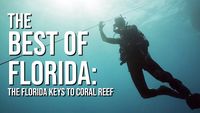 Best of Florida Adventures