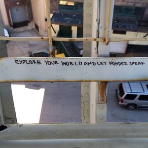 wholesomely lonesome