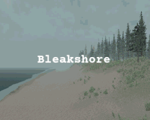 Bleakshore