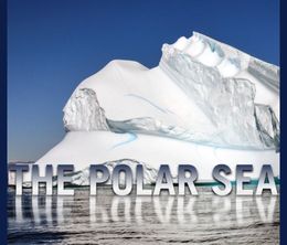 image-https://media.senscritique.com/media/000019411868/0/the_polar_sea.jpg