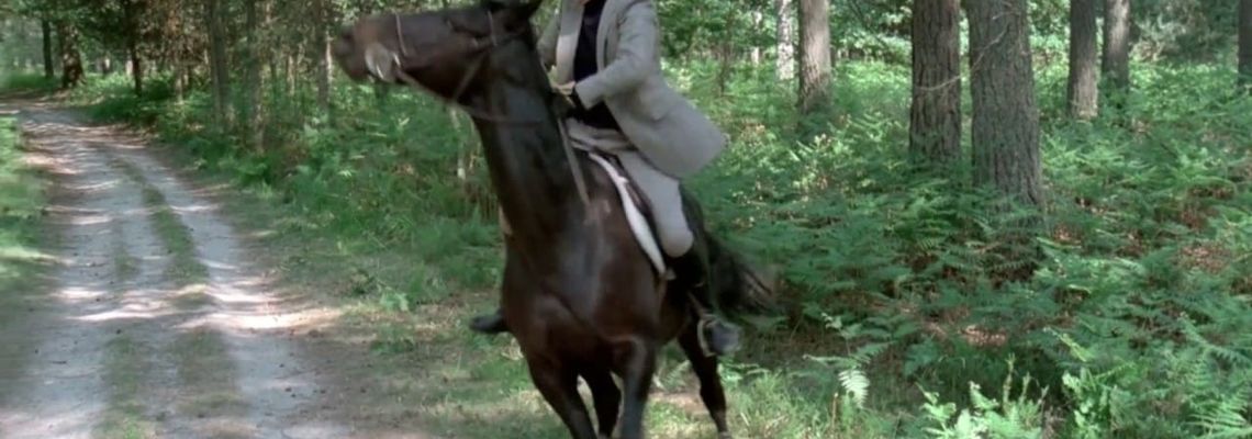 Cover Un éléphant, ça trompe énormément