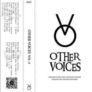 Other Voices, Vol. 2